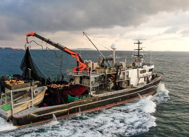 Commercial fishing vessel at sea representing fishing vessel crewing services